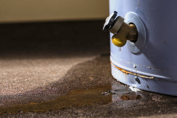 Best Fire Damage Restoration  in San Bruno, CA