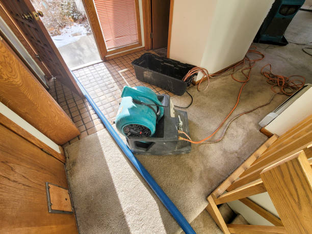 Best Sewage cleanup and water damage restoration  in San Bruno, CA