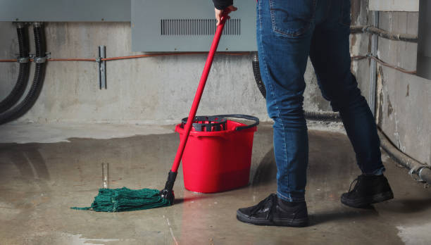 Best Carpet water damage restoration  in San Bruno, CA