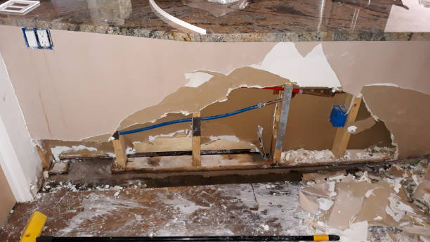 Best Ceiling water damage repair  in San Bruno, CA
