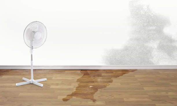 Water damage restoration insurance claims in San Bruno, CA