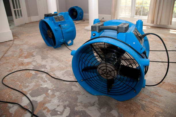 Best Water damage contractors near me  in San Bruno, CA