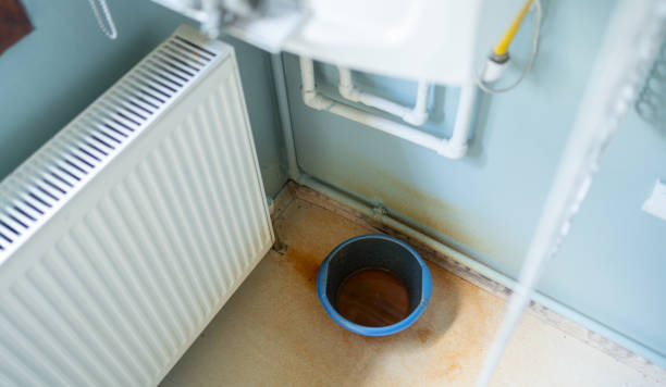 Best Flood damage cleanup  in San Bruno, CA