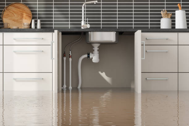 Best Local water damage restoration  in San Bruno, CA