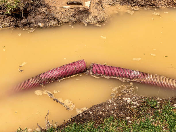 Best 24/7 water damage repair  in San Bruno, CA